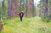 20200806_174440 (2)